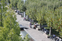 MG_5435-1024