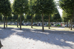 MG_6262-1536